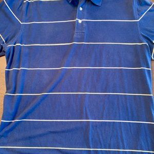 Blue striped Southern Tide polo